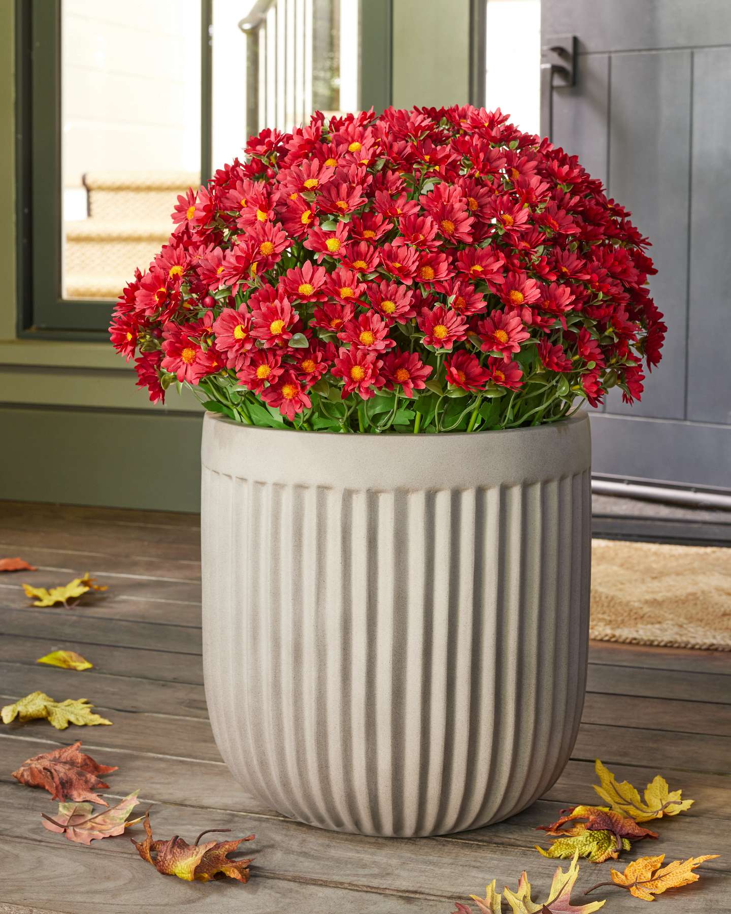 Balsam Hill 28-Inch Scarlet Outdoor Sunset Mums Pot Filler Lifestyle