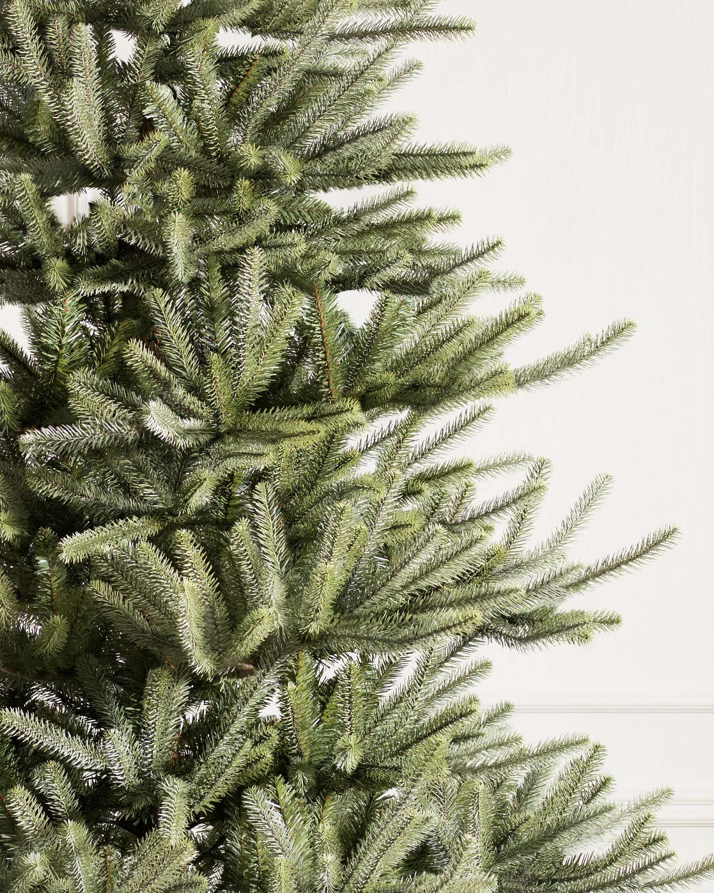 Branch Sample Kit by Balsam Hill Closeup Sanibel Spruce
