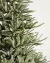 Branch Sample Kit by Balsam Hill Closeup Sanibel Spruce