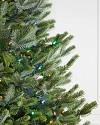 BH Fraser Fir Wide Color+Clear LED Closeup 10 by Balsam Hill
