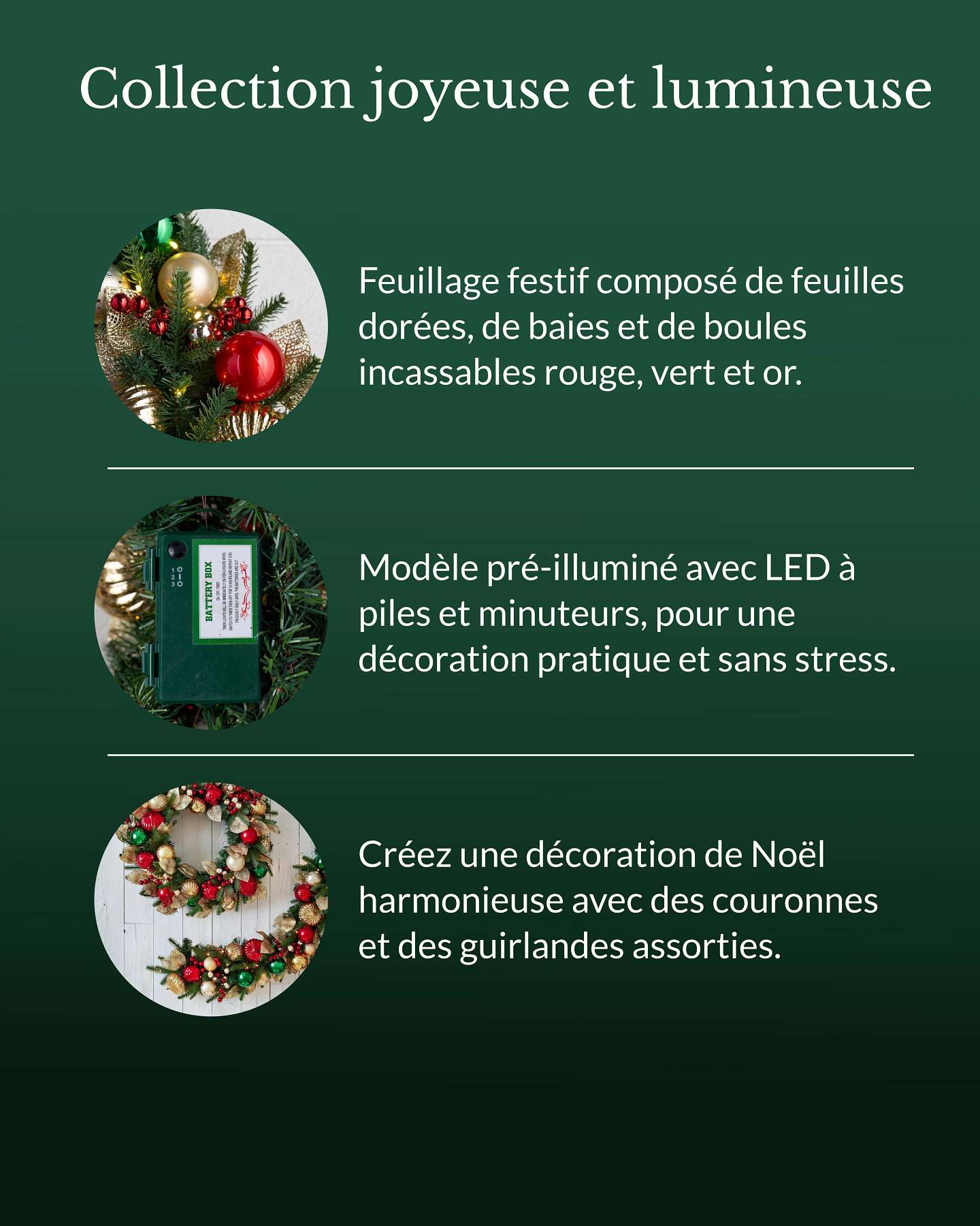Guirlande d'extérieur joyeuse et lumineuse