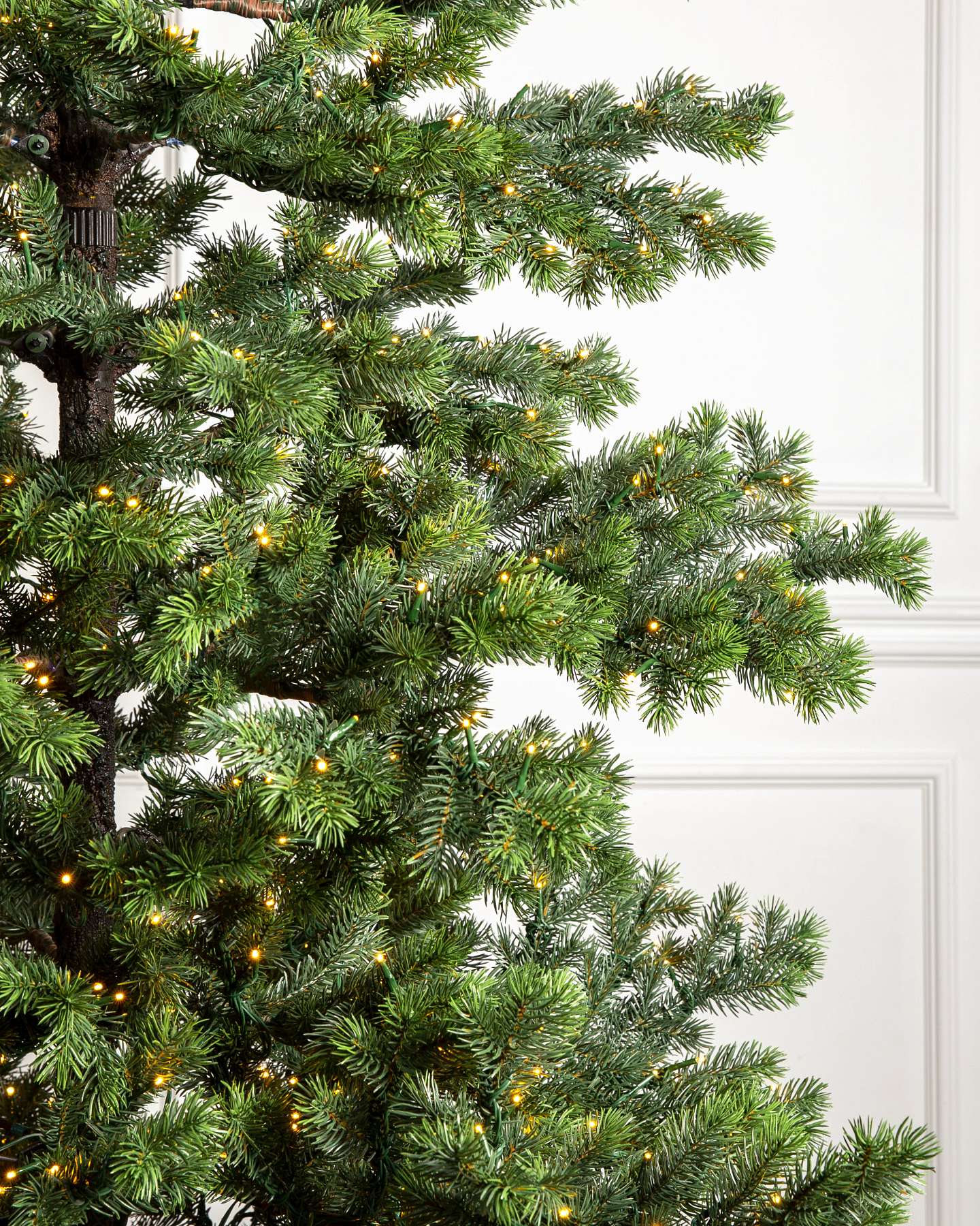 Branch Samples, Set of 10