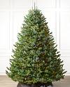 BH Fraser Fir Wide Color+Clear LED SSC by Balsam Hill