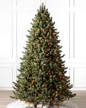 Vermont White Spruce Flip Tree® Vermont White Spruce Flip Tree®