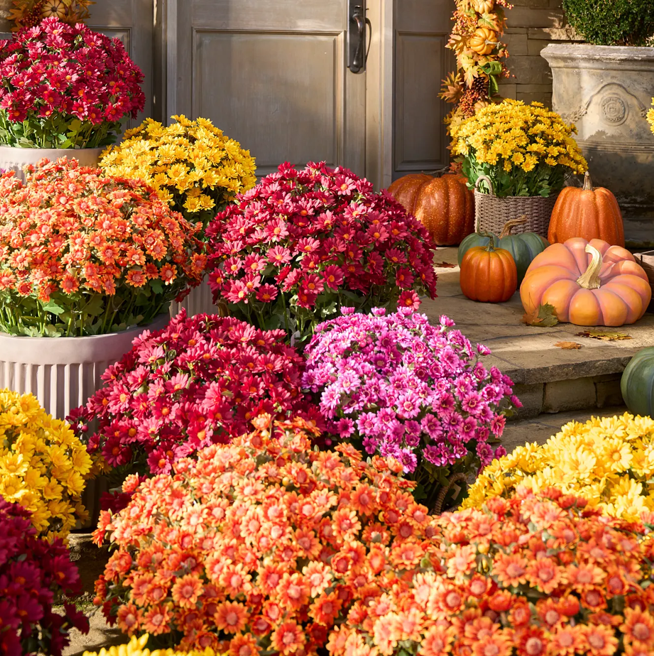 The Flower Shop