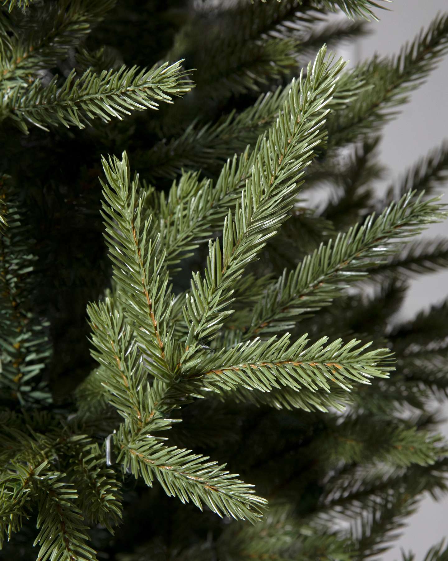 Northern Norway Spruce by Balsam Hill Branch Detail