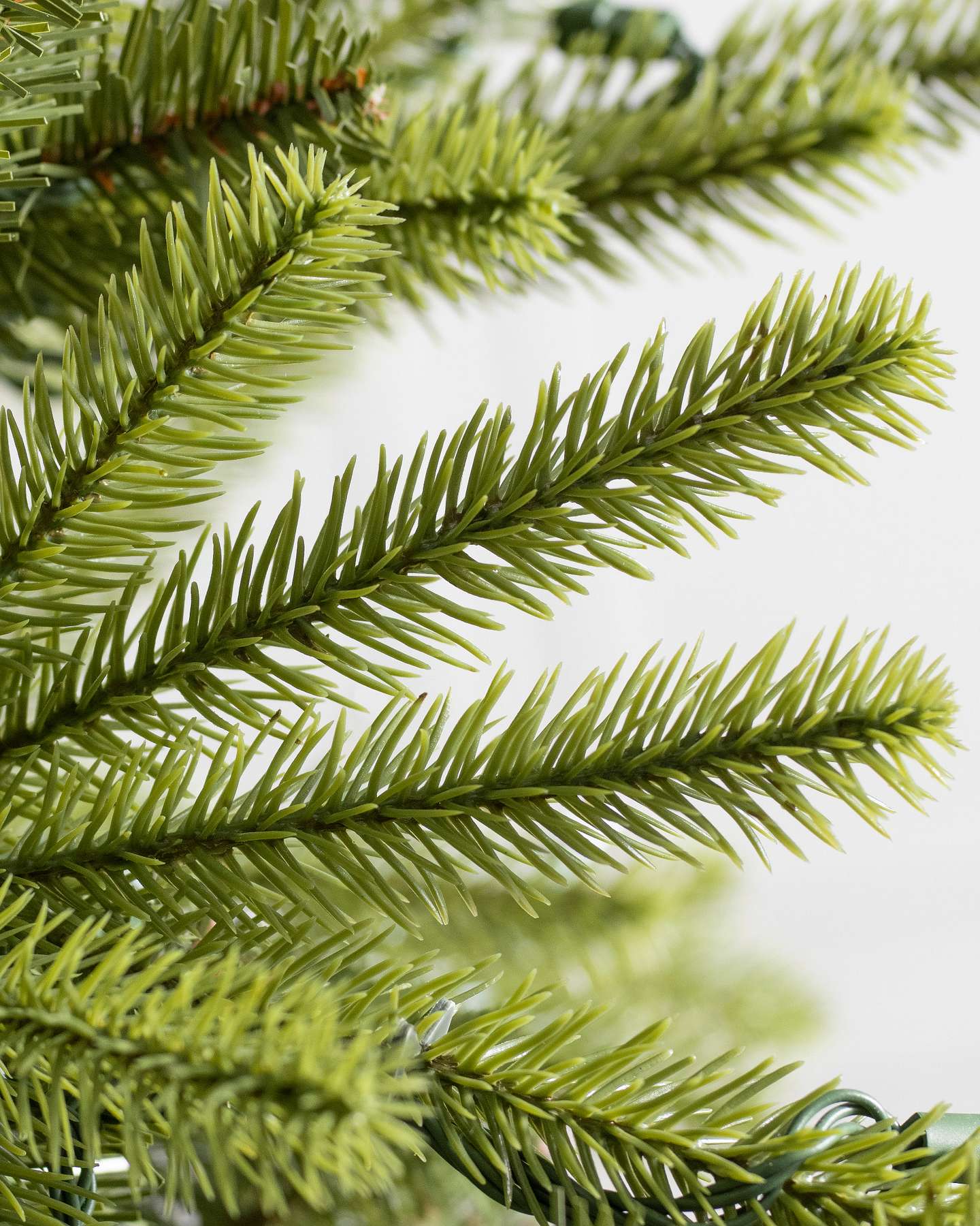 Grandview Fir by Balsam Hill Detail
