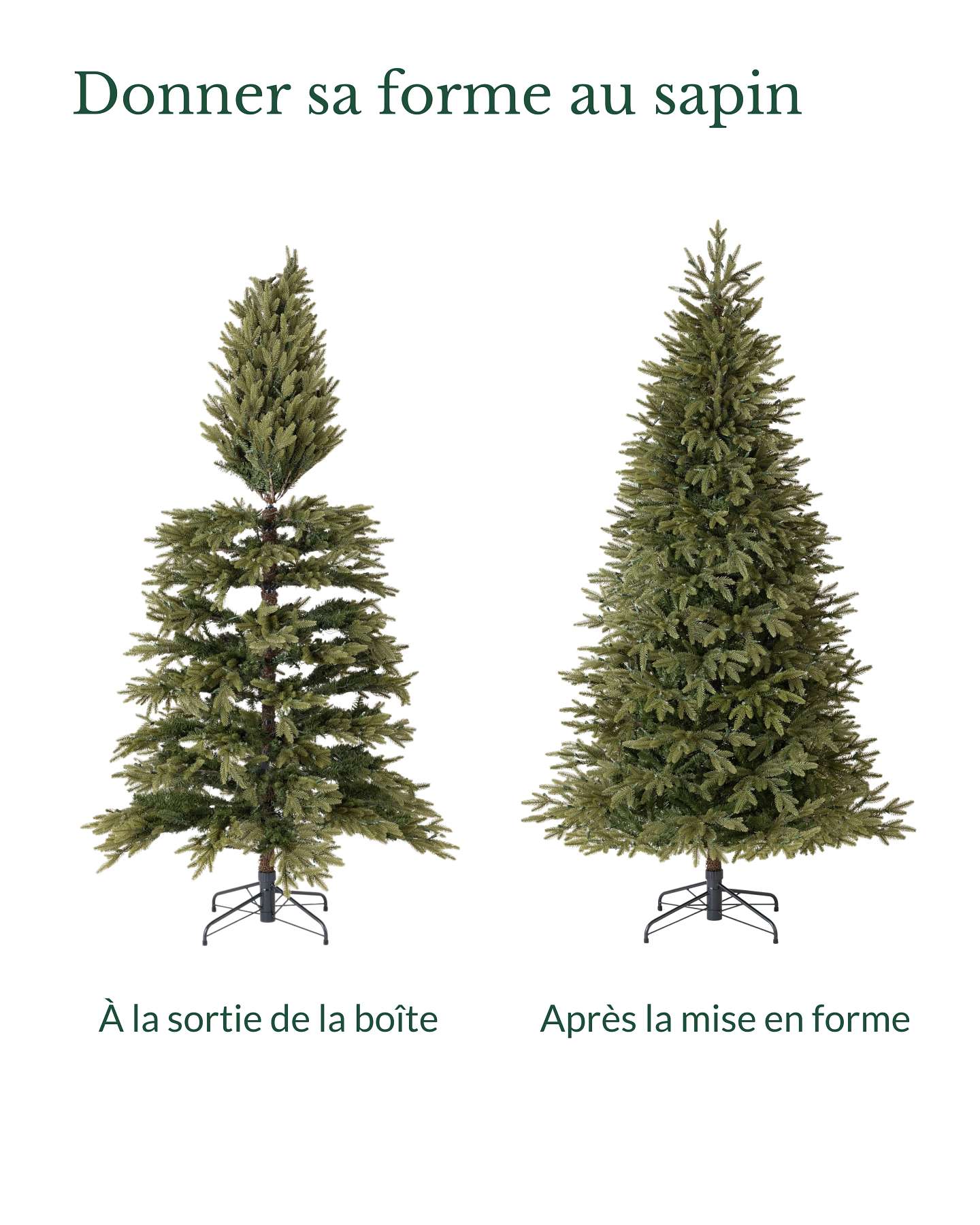 Épinette de Stratford de 6,5 pi