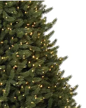 Vermont White Spruce Narrow Vermont White Spruce Narrow