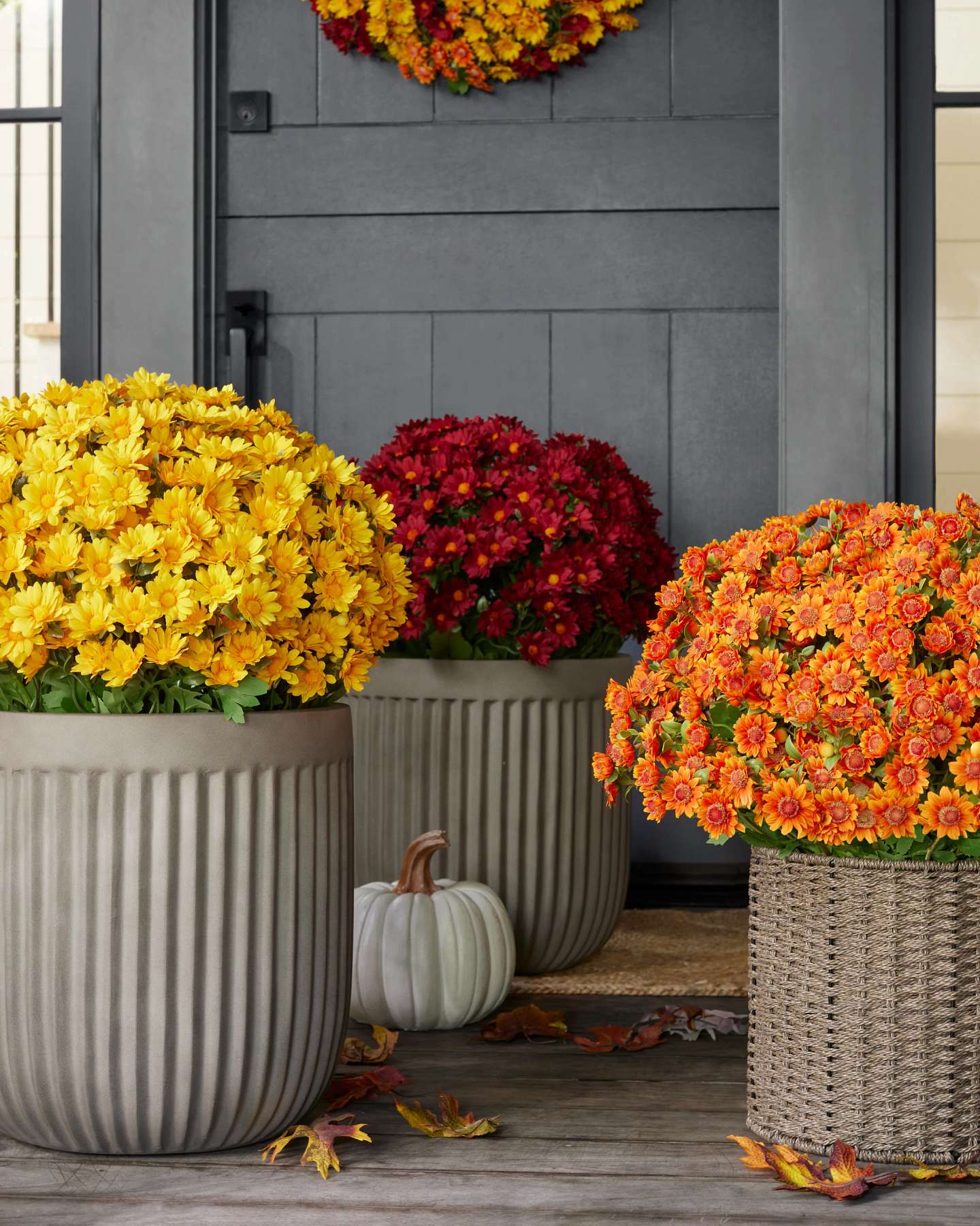 Balsam Hill Outdoor Orange Potted Mums Artificial Fall Foliage Vibrant Seasonal Display