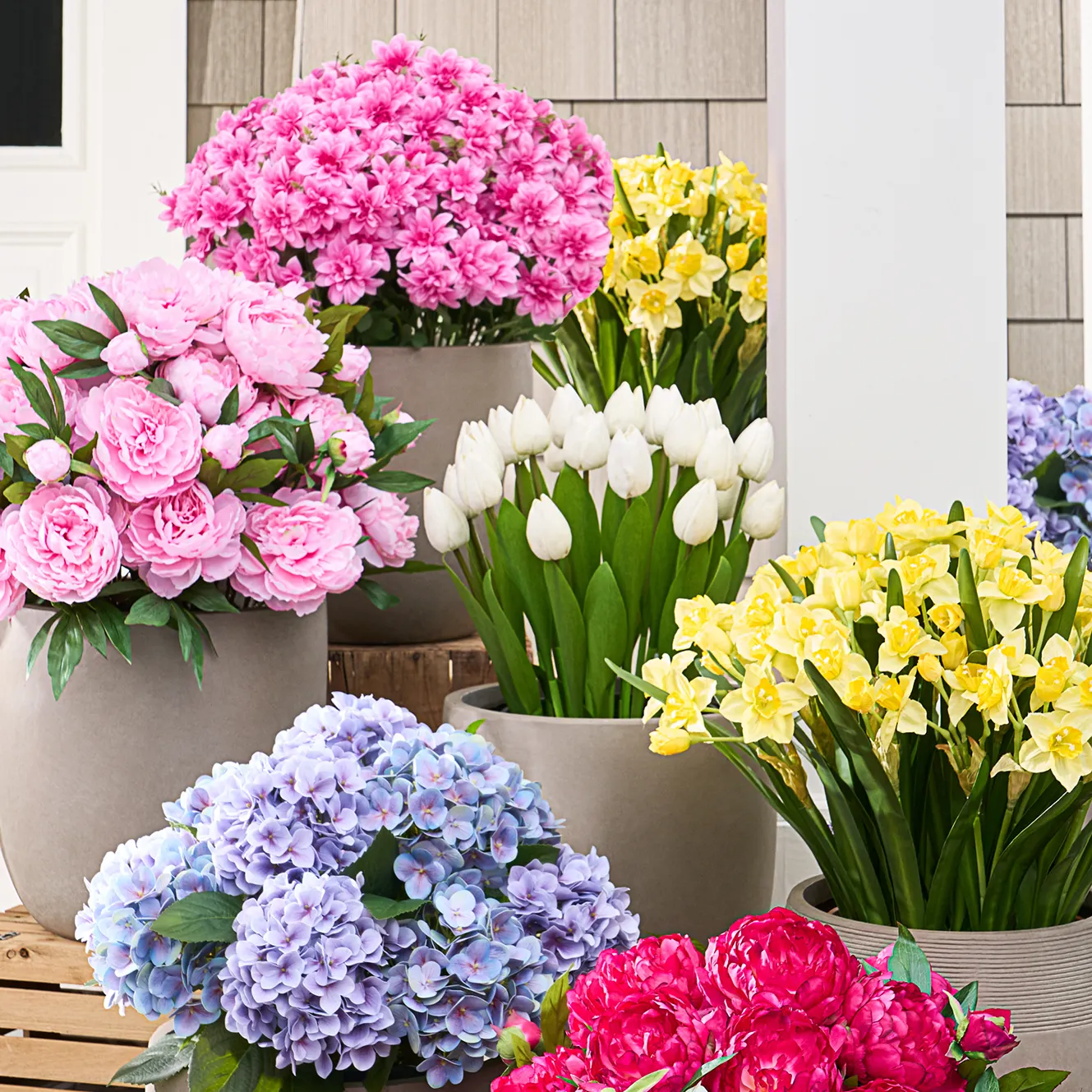 The Flower Shop