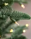 BH Noble Fir Narrow Christmas Tree™ | Balsam Hill