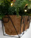 Outdoor Red Berry Pine Window Box by Balsam Hill Closeup 10