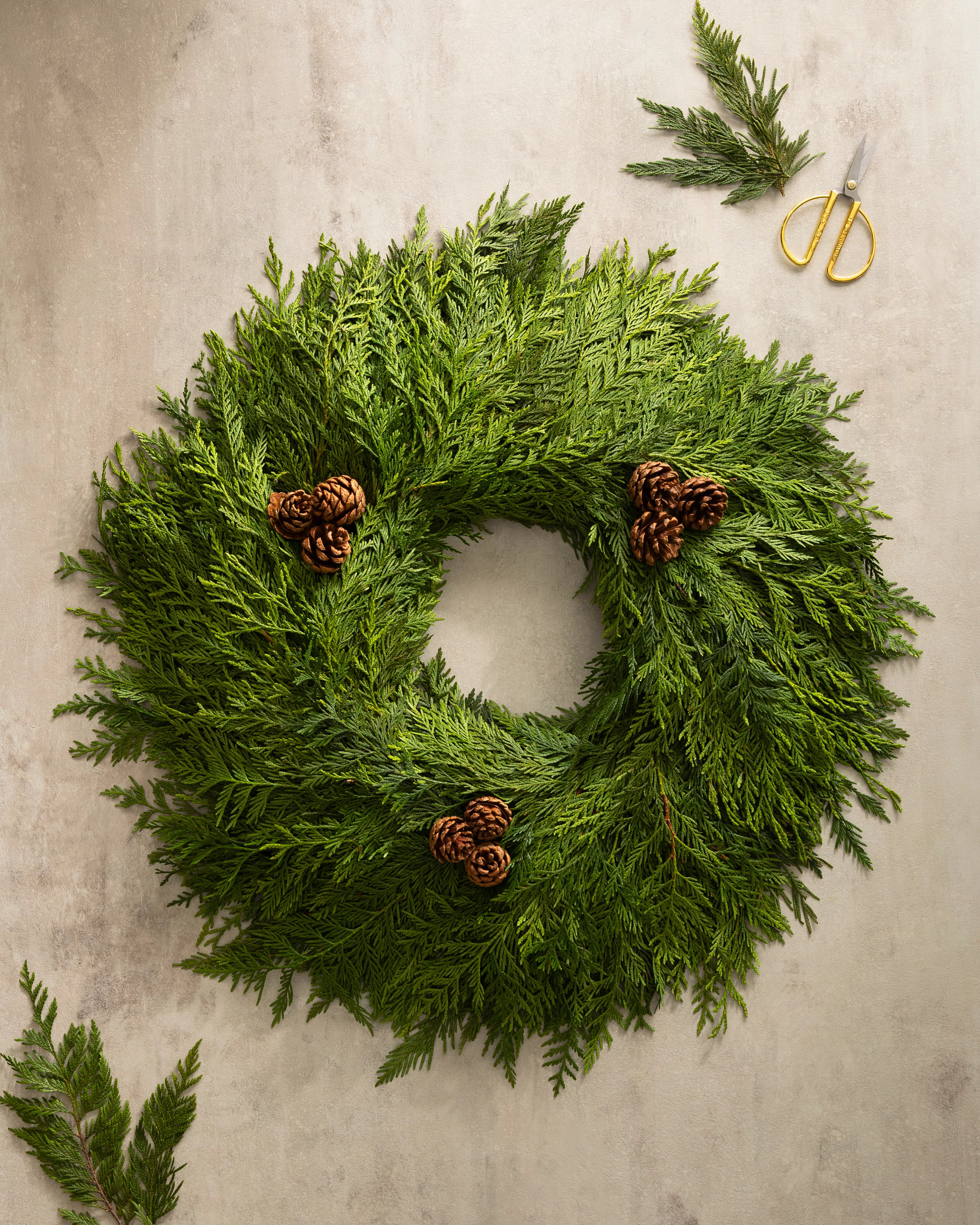 WRG-2441025_24in-Fresh-Wispy-