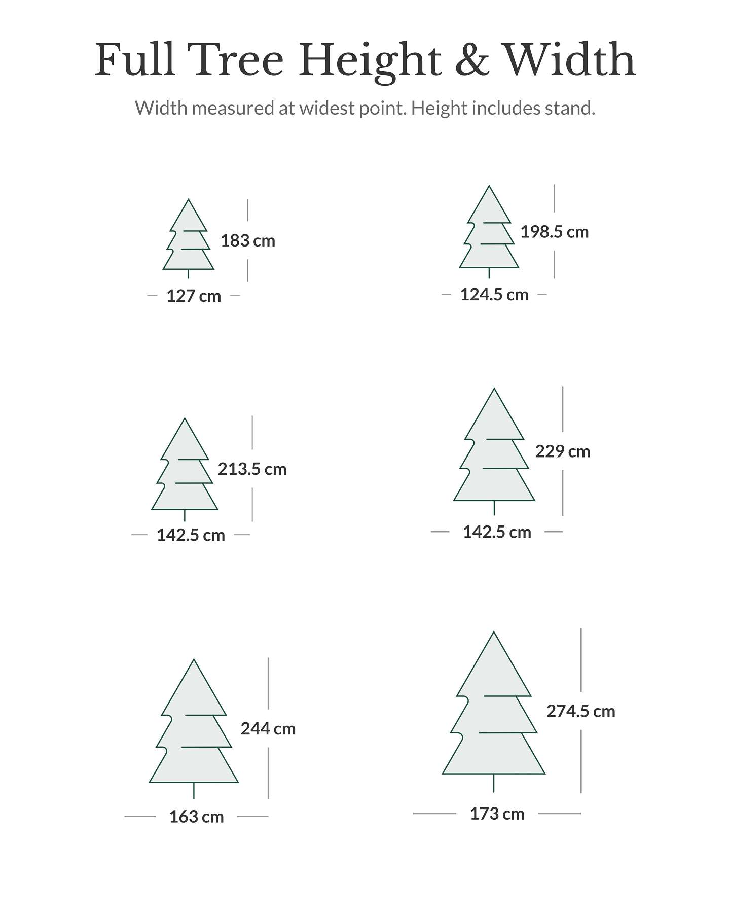 BH Balsam Fir