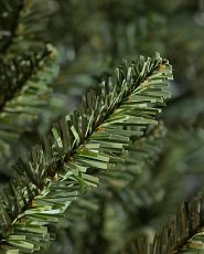 Closeup of a Balsam Hill Classic Blue Spruce tree branch