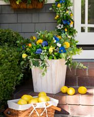 Artificial potted flowers with gerberas, cornflowers, wildflowers, ivy, and pomegranates set on brick steps with lemons in a basket