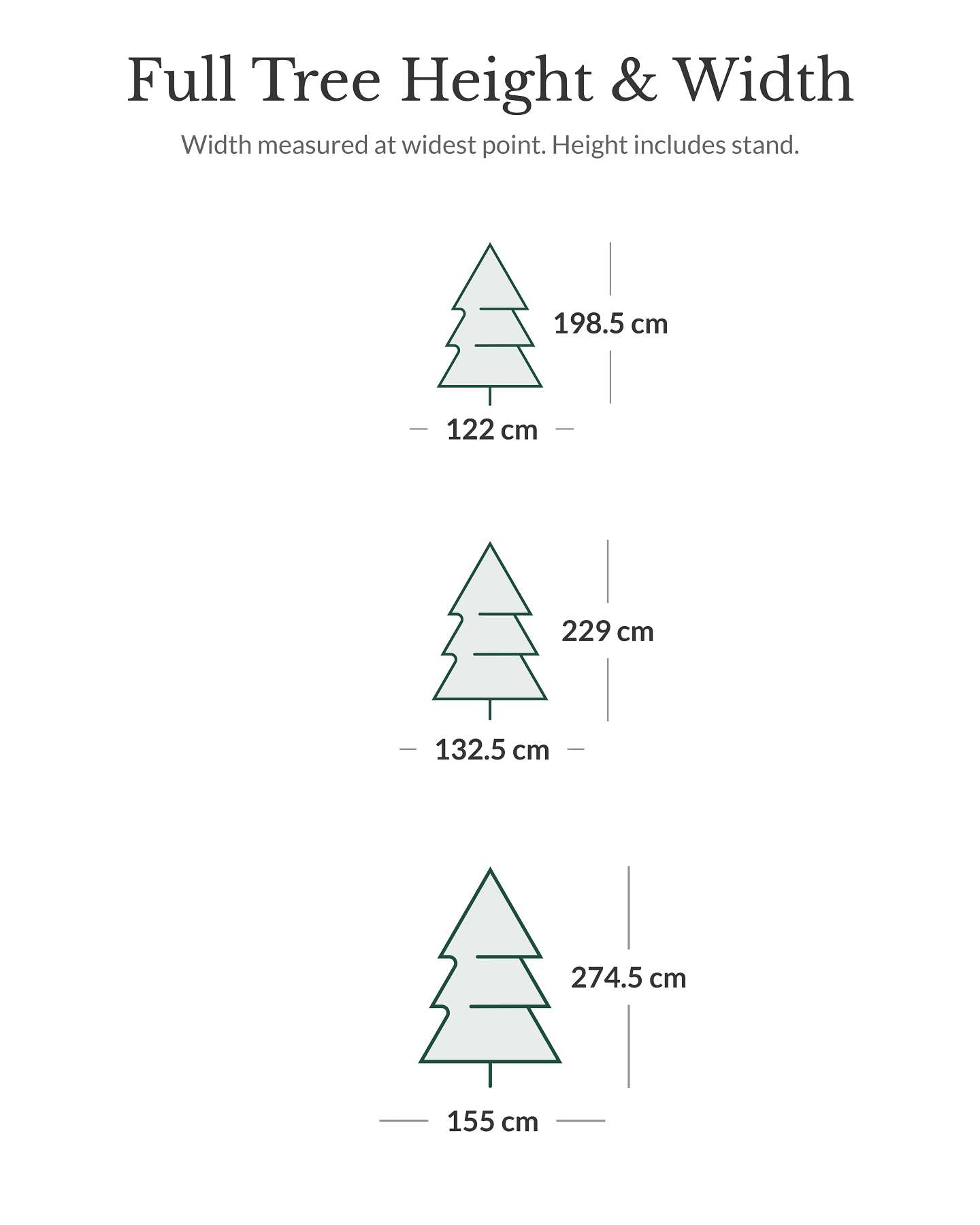 Frosted Fraser Fir