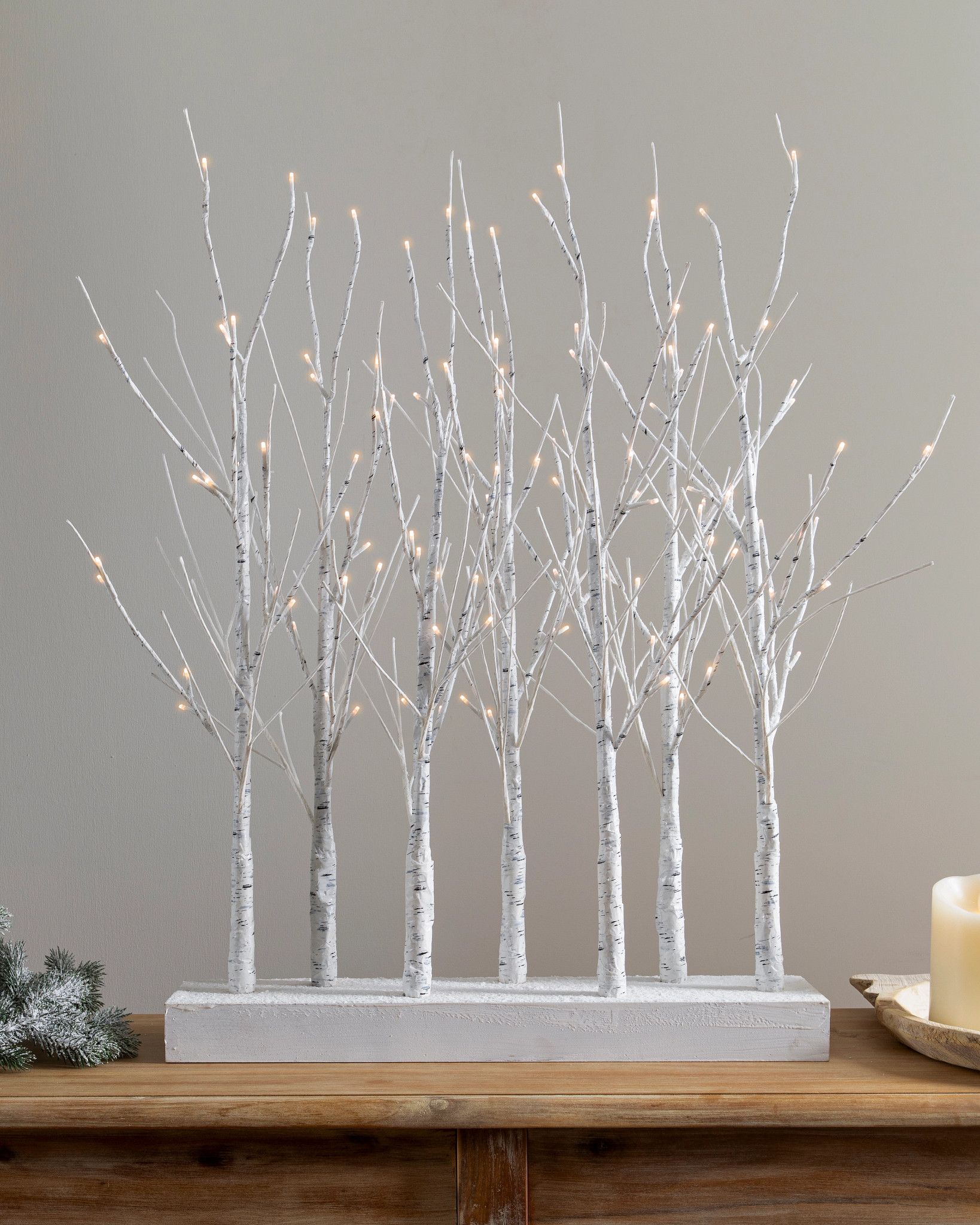 Lit Winter Birch Tree Grove