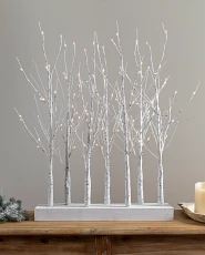 Winter birch tabletop tree grove