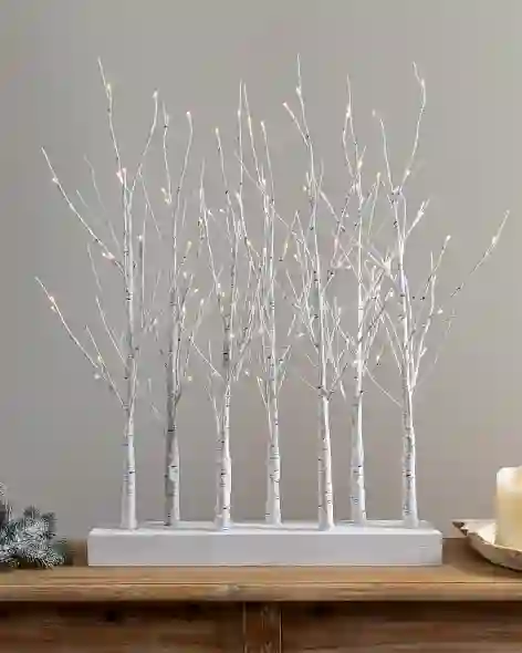 Winter Birch LED Tree Grove by Balsam Hill SSC