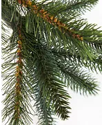 California Baby Redwood Flip Tree™