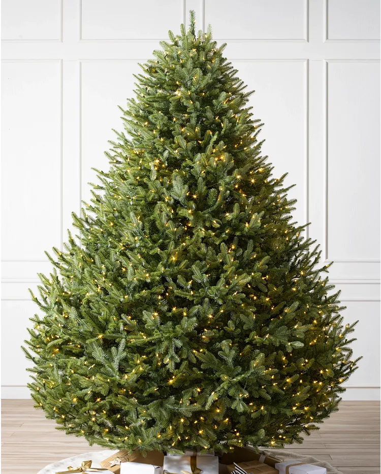 BH Balsam Fir® Wide Christmas Trees
