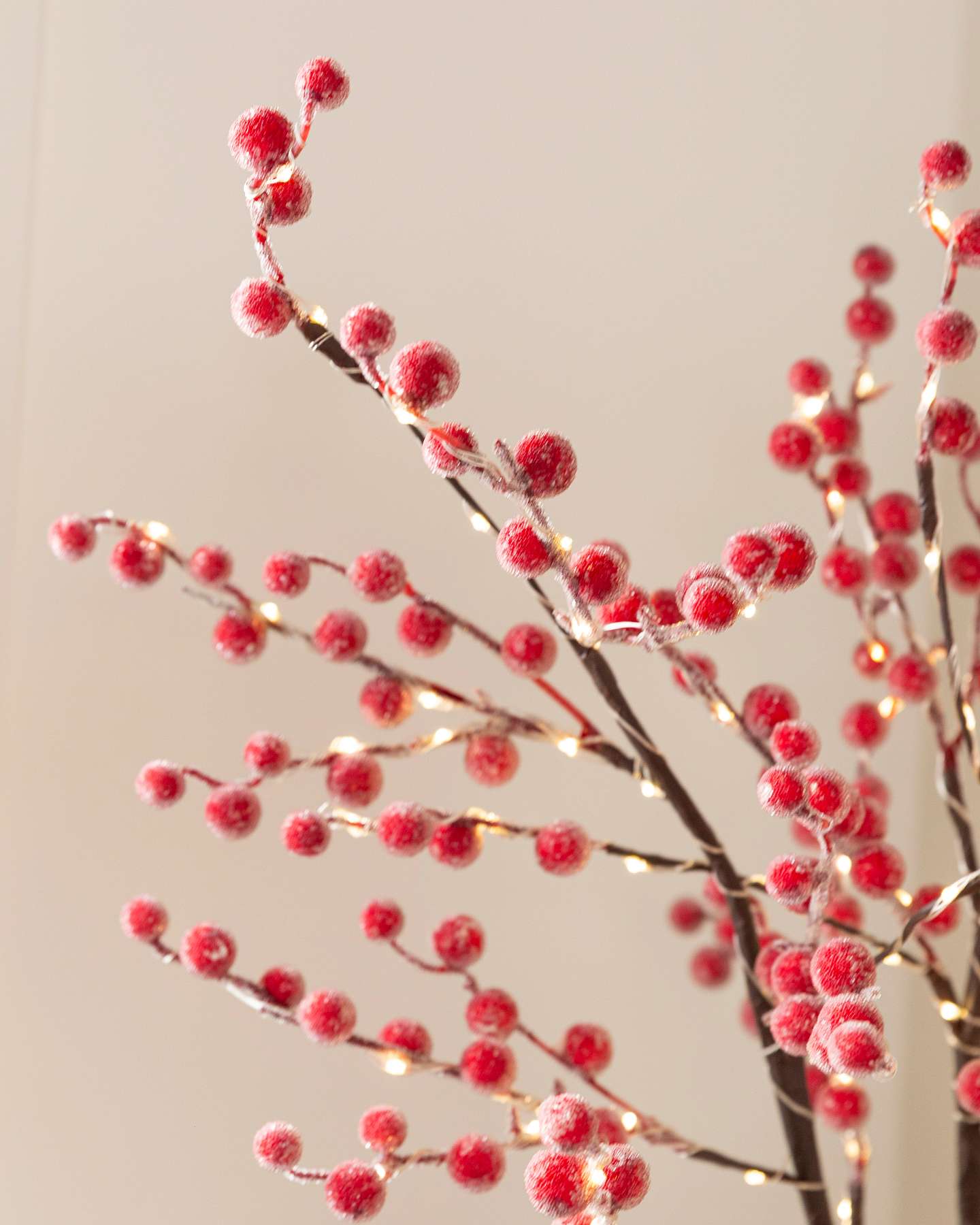 Balsam Hill Lit Sugared Red Berry Branches Set of 3 Detailed View