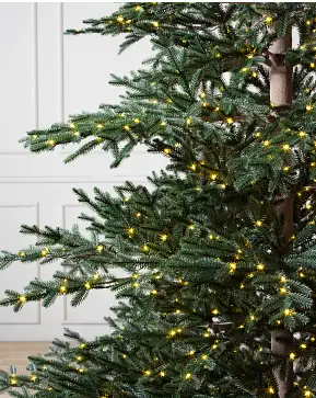 Aspen Silver Fir Aspen Silver Fir