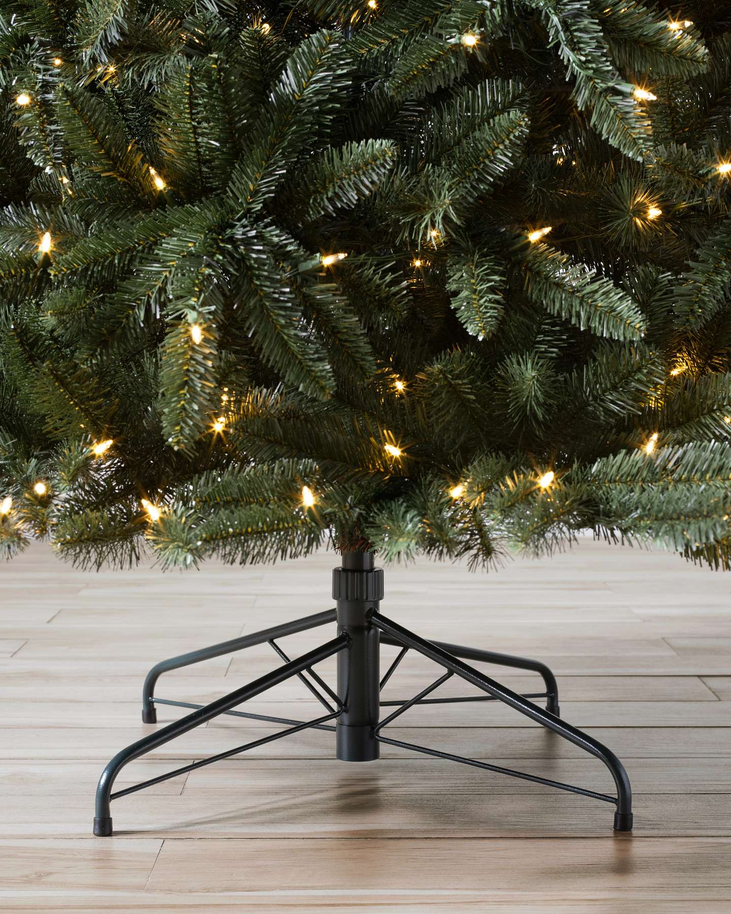 Classic Douglas Fir