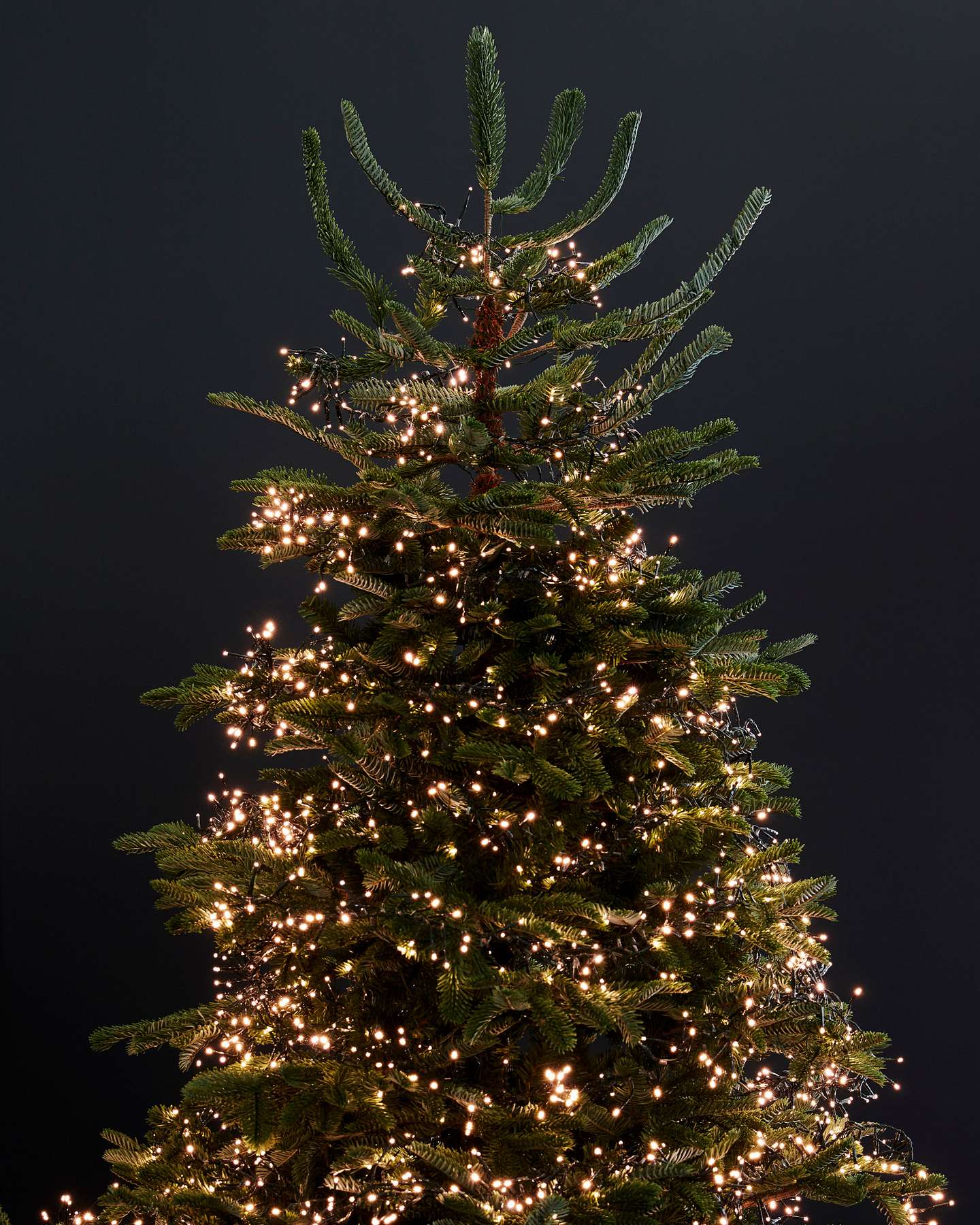 Balsam Hill Cluster Micro LED Lights Cosy Setup
