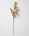 Gold Poinsettia Bud Picks by Balsam Hill Closeup 10