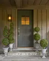 Battery-Operated Boxwood Topiary by Balsam Hill Lifestyle 10