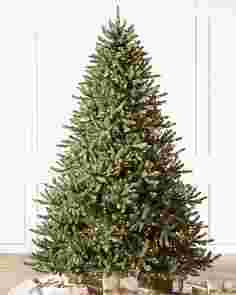 Classic Blue Spruce by Balsam Hill SSC 10