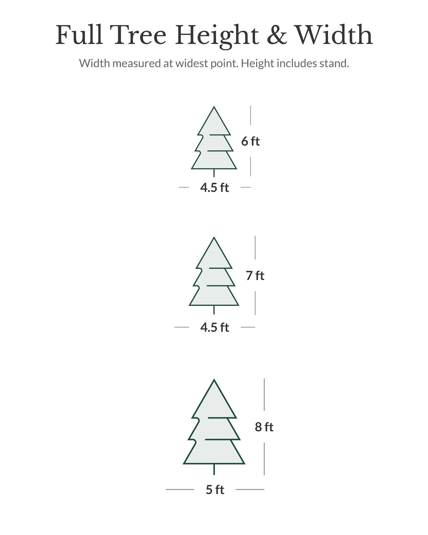 Vancouver Spruce Tree