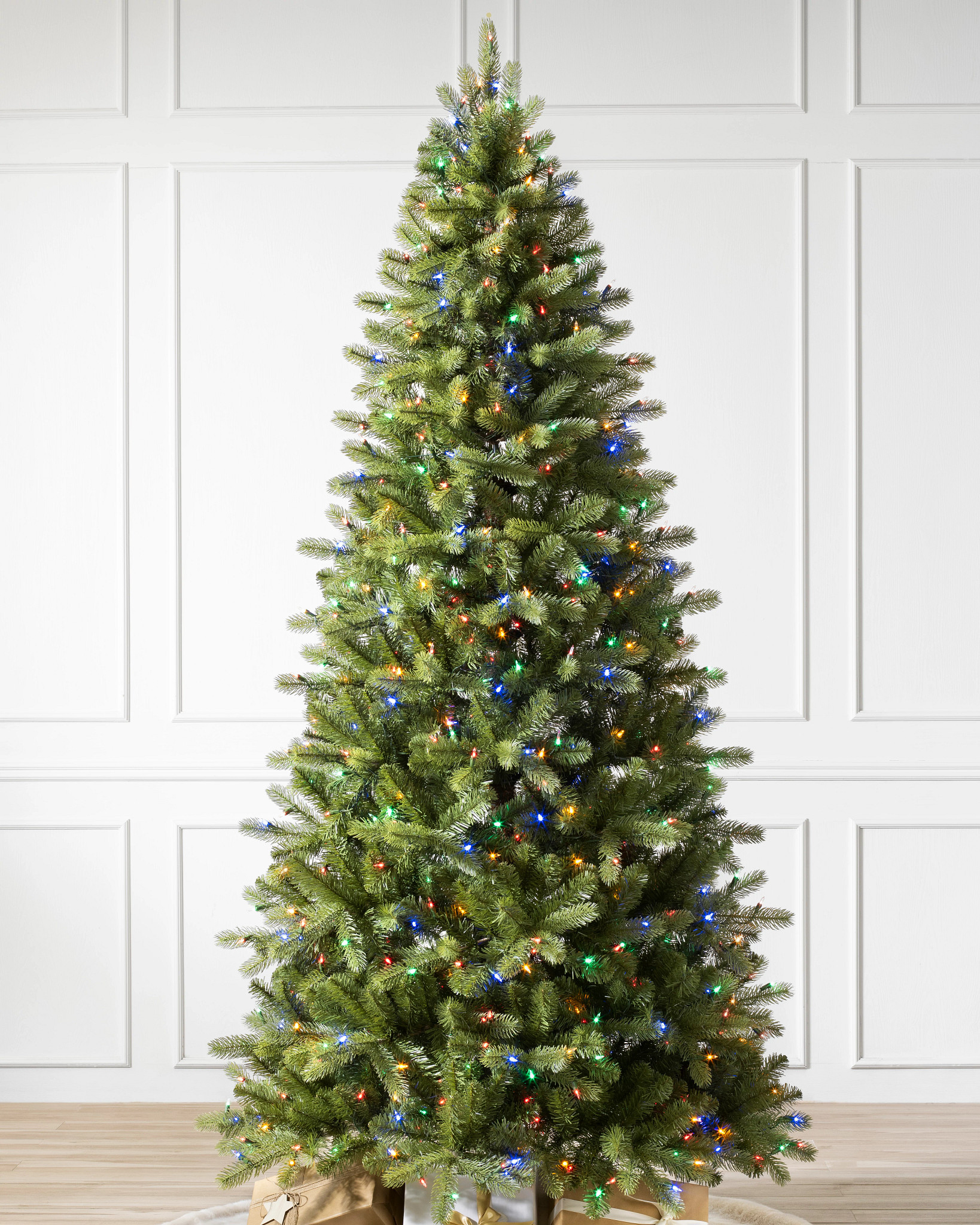Bellevue Spruce