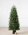 Windsor Potted Spruce Tree by Balsam Hill SSC 10