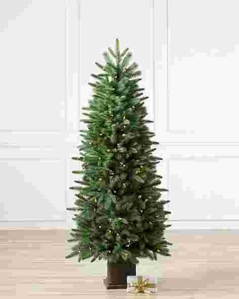 Windsor Potted Spruce Tree by Balsam Hill SSC 10
