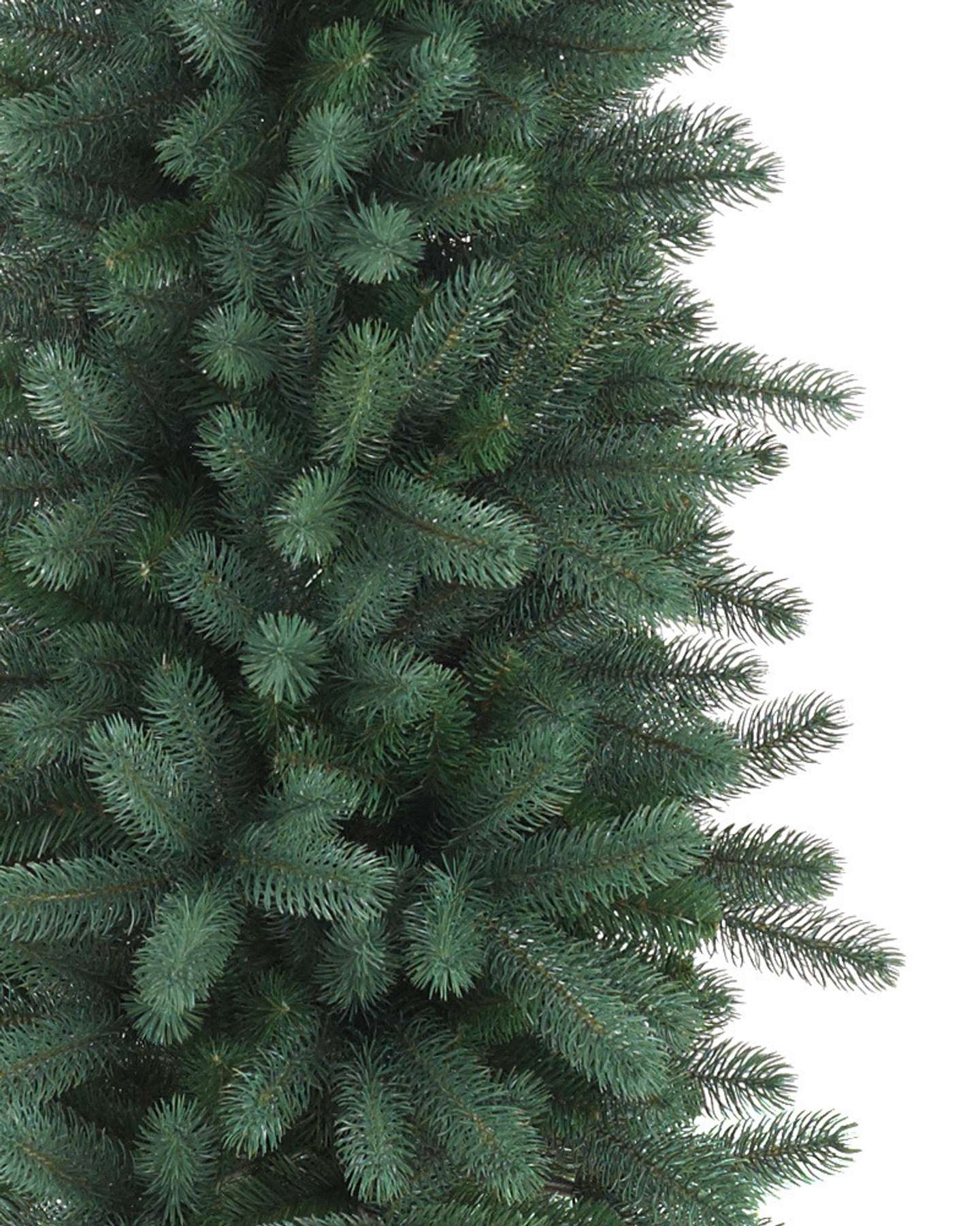 Balsam Hill Sonoma Slim Pencil Tree Close-Up of Unlit Branches