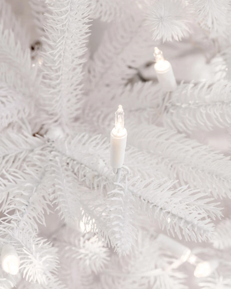 Denali White