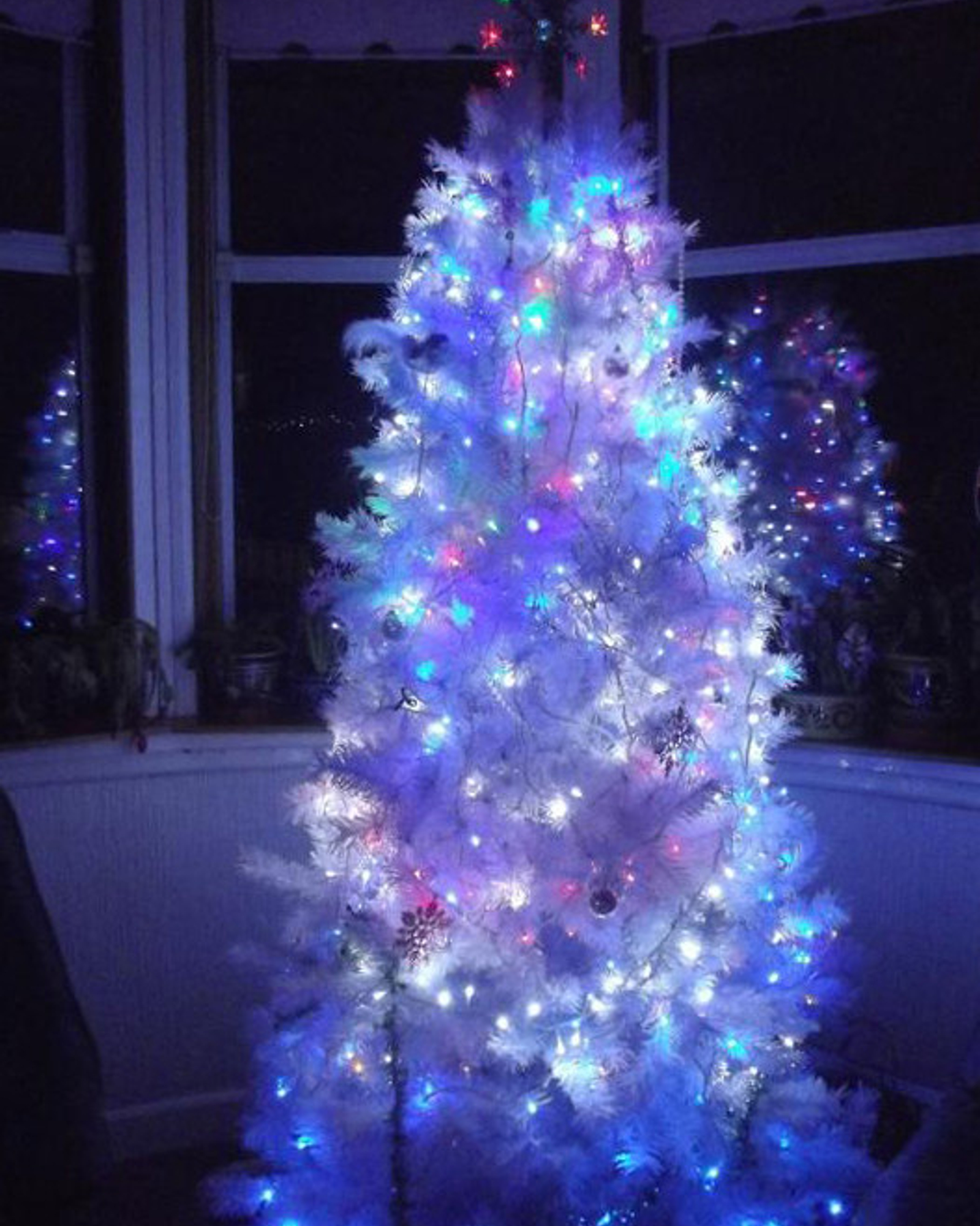 White christmas tree hot sale with led lights
