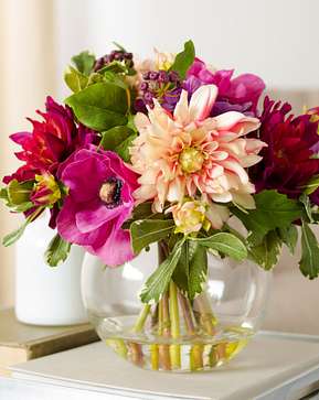 Dahlia Arrangement Dahlia Arrangement