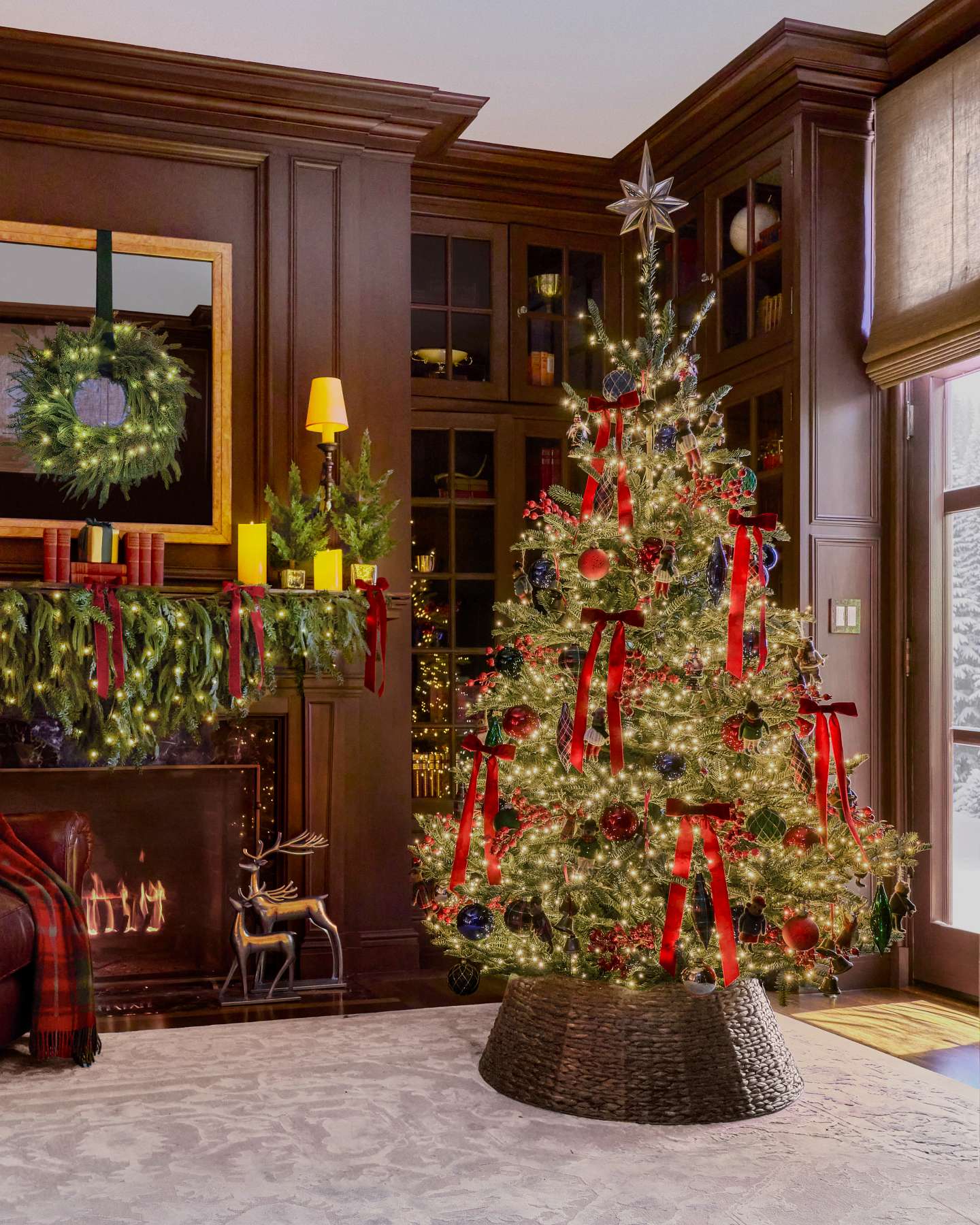 BH Nordmann Fir