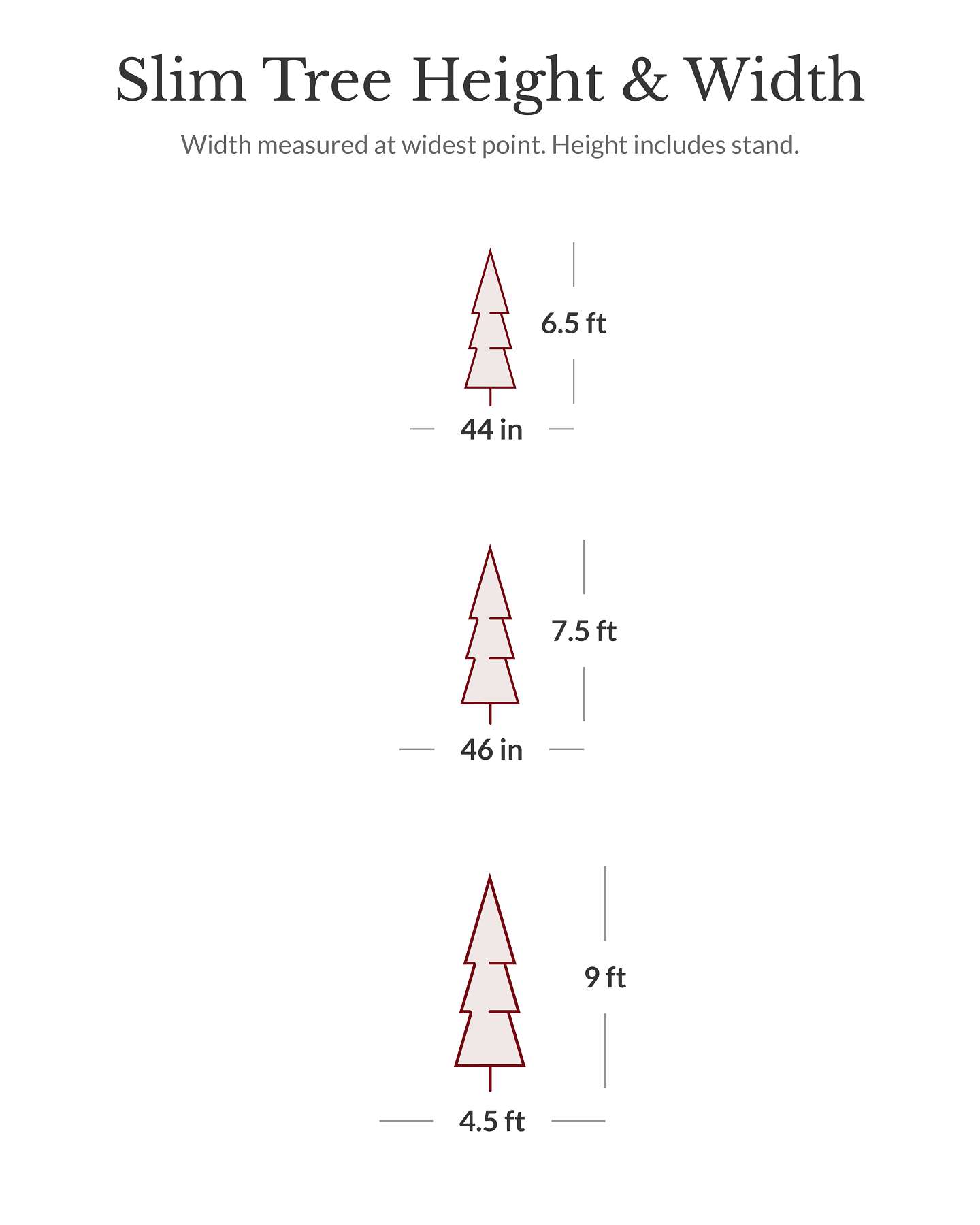 Sapin Fraser étroit de 6,5 pi