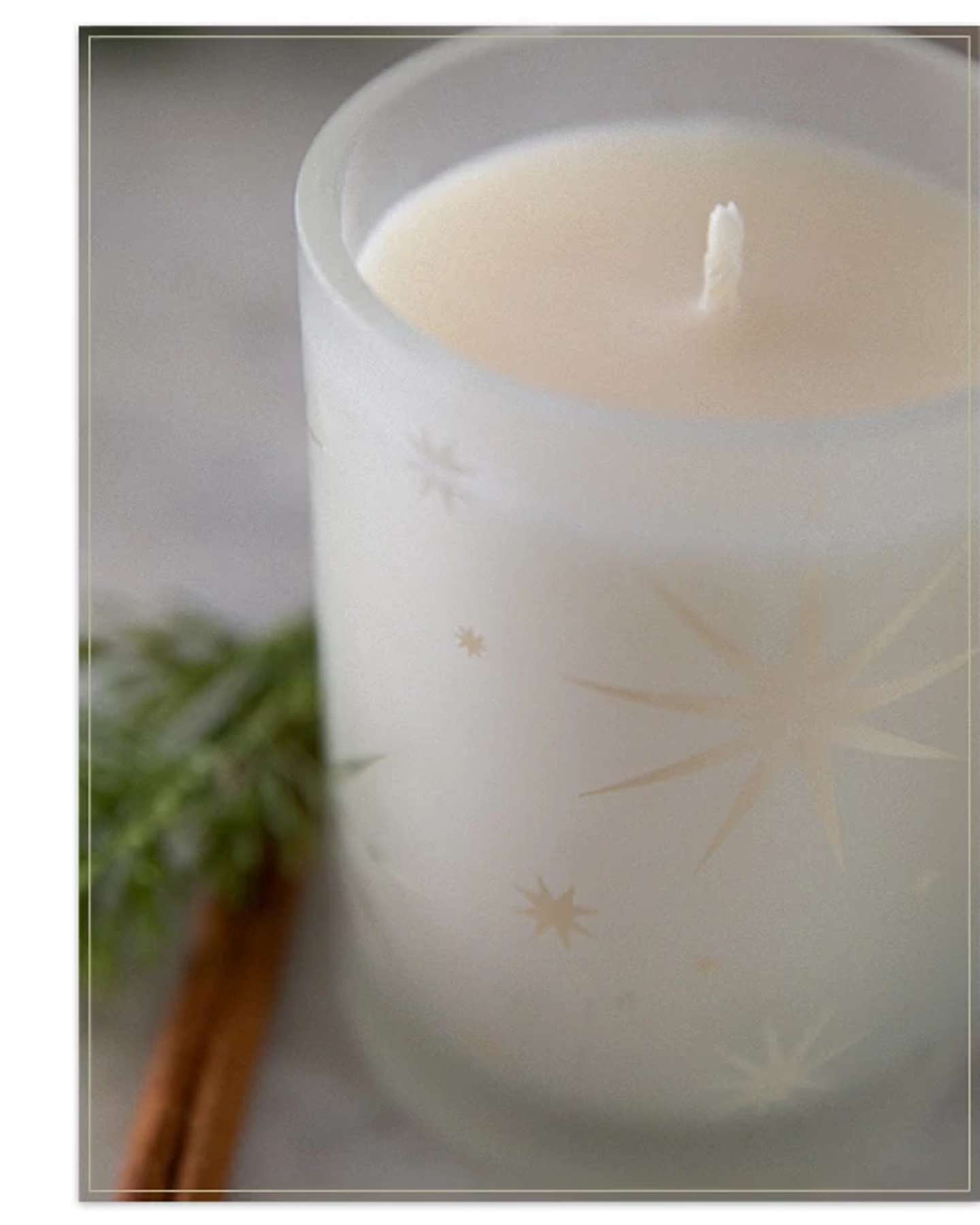 Balsam Hill Balsam and Cedar Candle Product Display