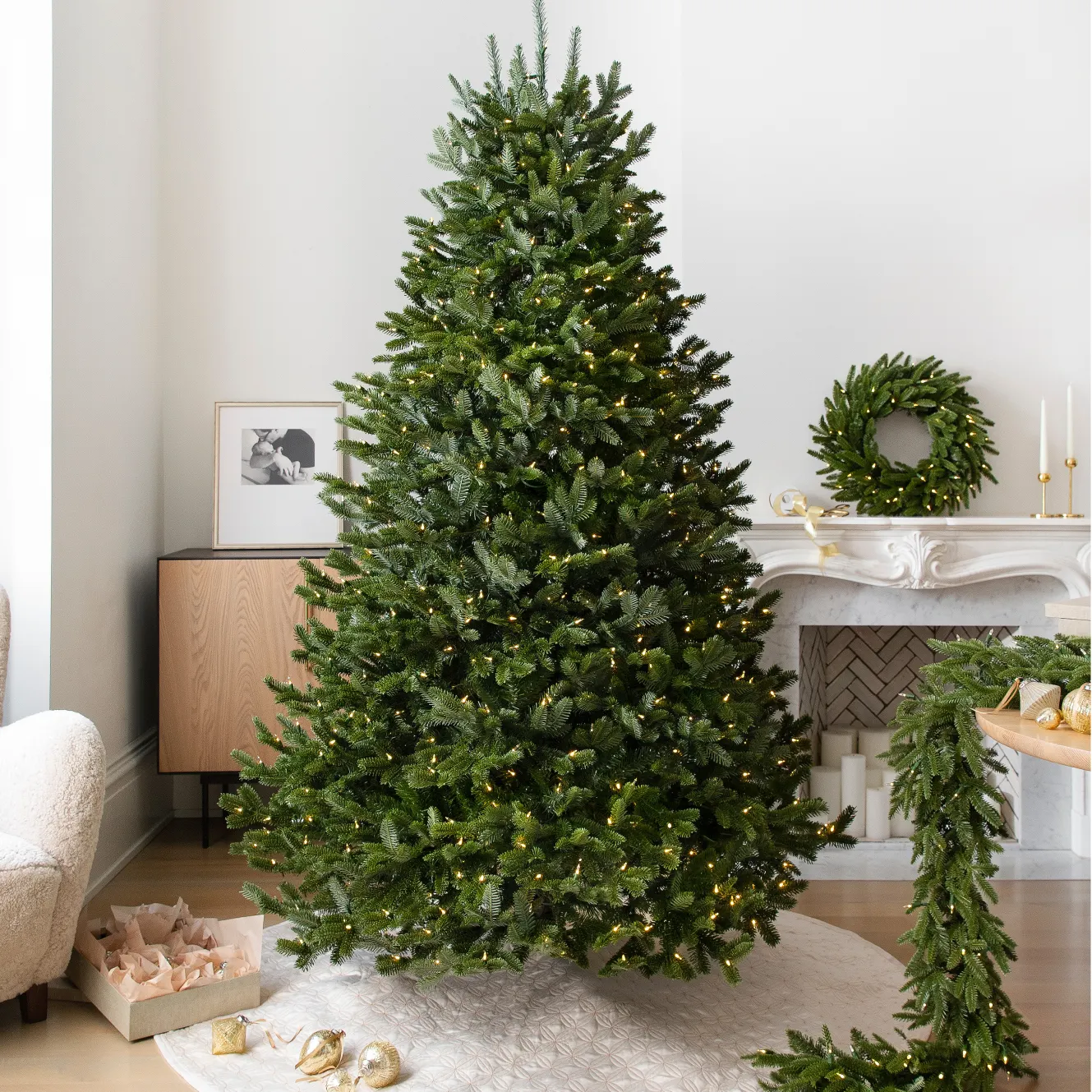 Shop Bestselling Trees