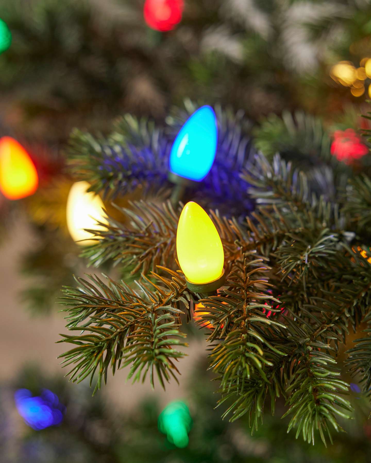Yukon Spruce®