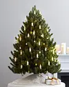 Vermont White Spruce Tree by Balsam Hill Lifestyle 80