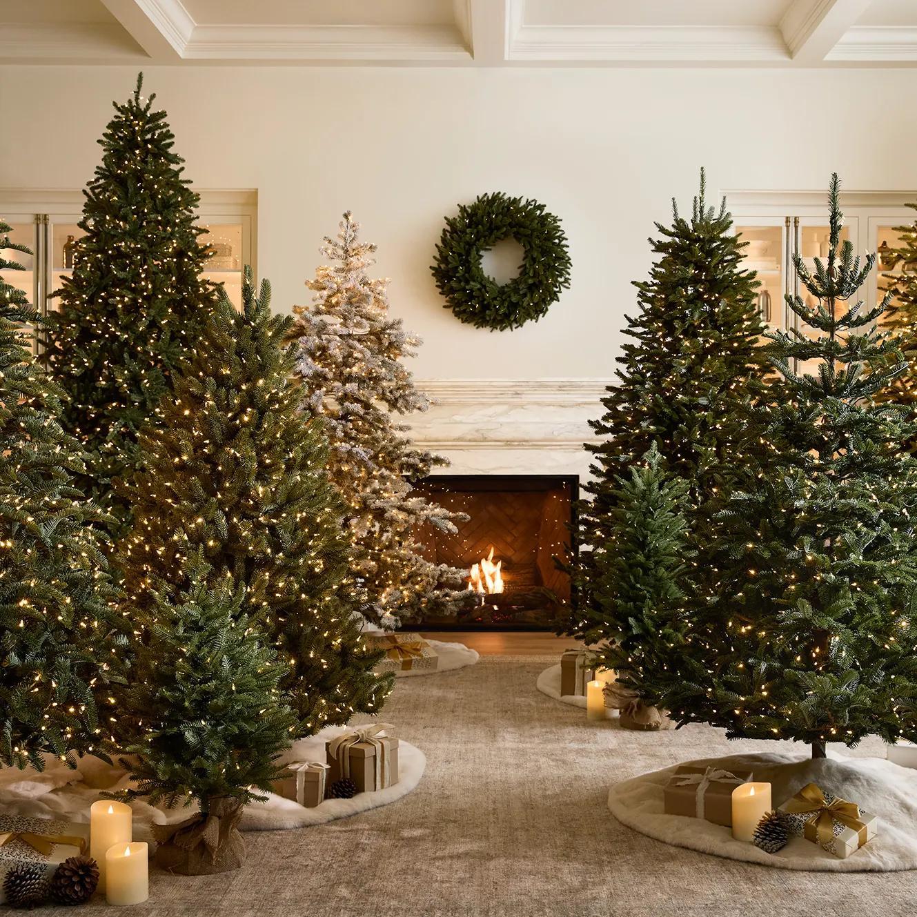 Shop Trees