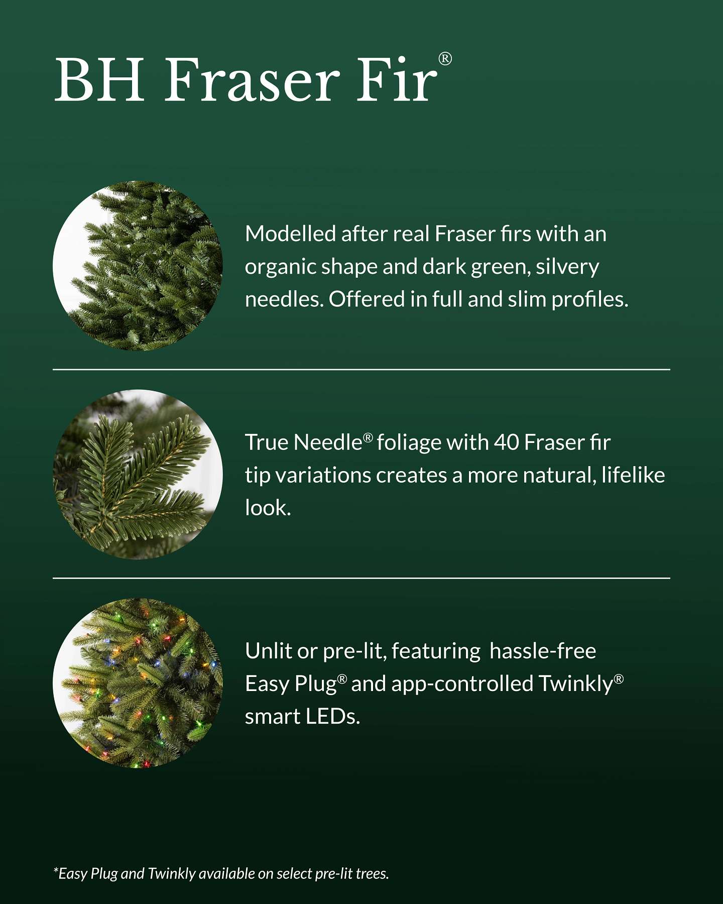 7.5' BH Fraser Fir